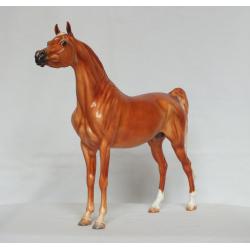 Ahzam, Arabian Stallion - Chestnut Paint Standard