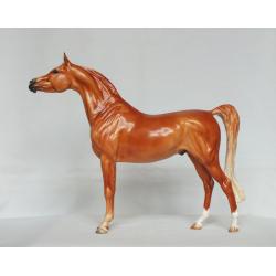 Ahzam, Arabian Stallion - Chestnut Paint Standard