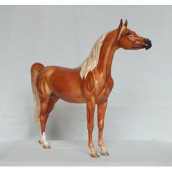 Ahzam, Arabian Stallion - Chestnut Paint Standard