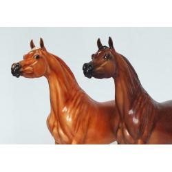 Ahzam, Arabian Stallion - Dapple Bay Painting Standard