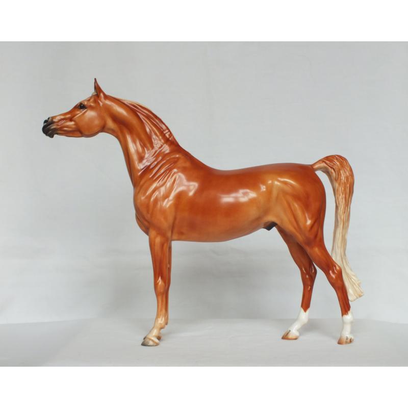 Ahzam, Arabian Stallion - Chestnut Paint Standard