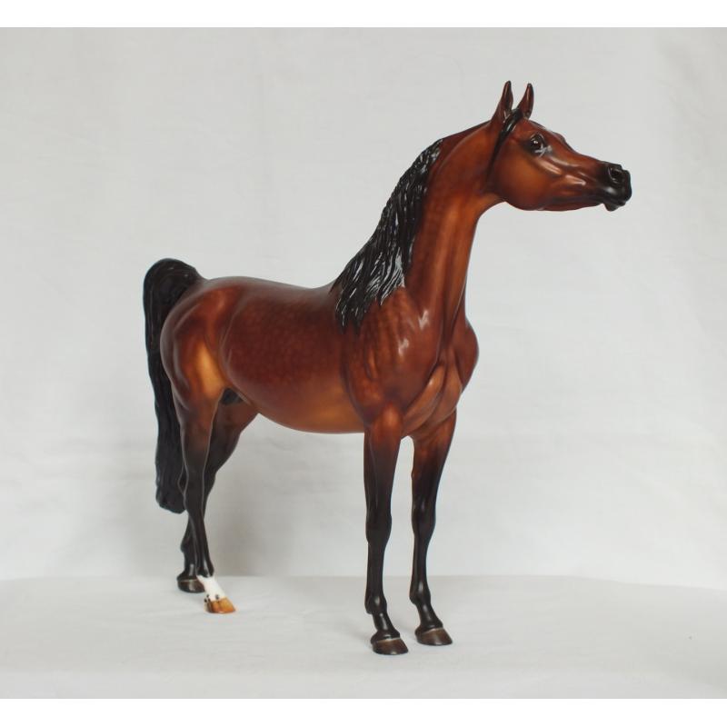 Ahzam, Arabian Stallion - Dapple Bay Painting Standard