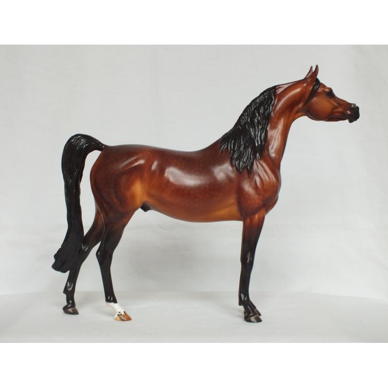 Ahzam, Arabian Stallion - Dapple Bay Painting Standard