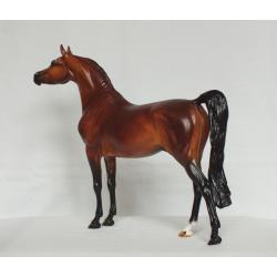 Ahzam, Arabian Stallion - Dapple Bay Painting Standard