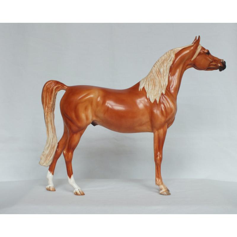 Ahzam, Arabian Stallion - Chestnut Paint Standard