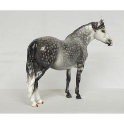 Welsh Pony Mare, Dapple Grey Painting Standard