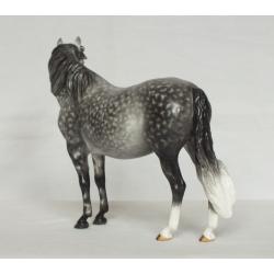 Welsh Pony Mare, Dapple Grey Painting Standard