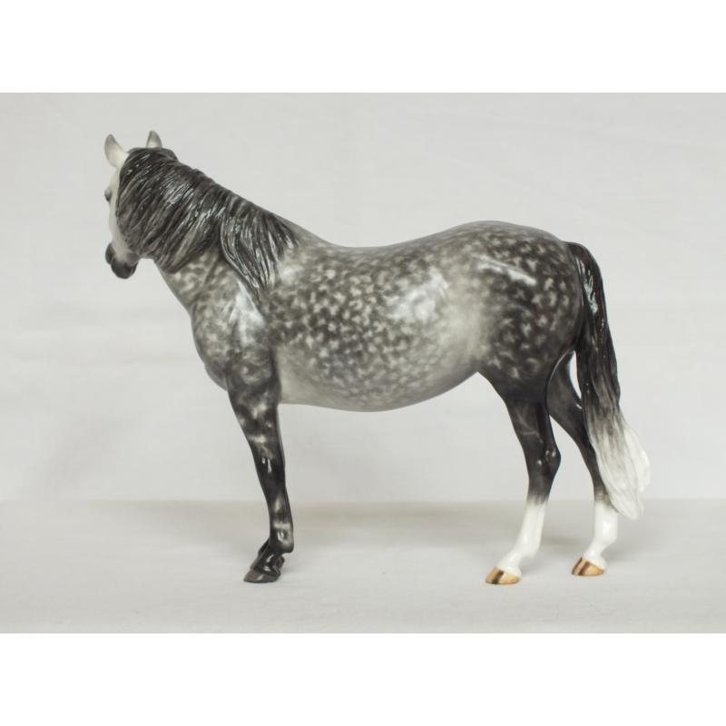 Welsh Pony Mare, Dapple Grey Painting Standard