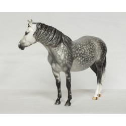 Welsh Pony Mare, Dapple Grey Painting Standard