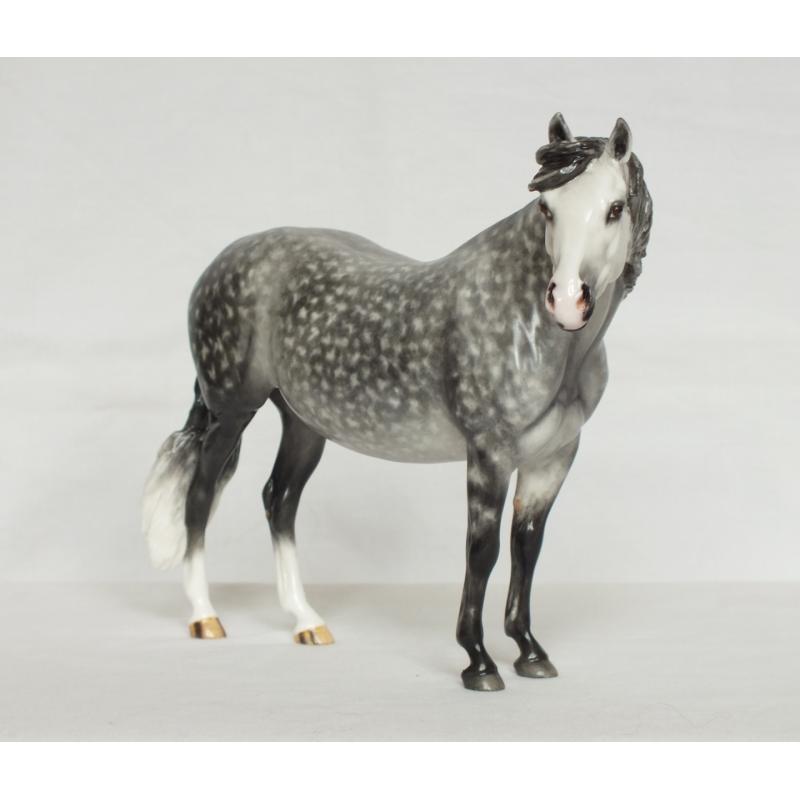 Welsh Pony Mare, Dapple Grey Painting Standard