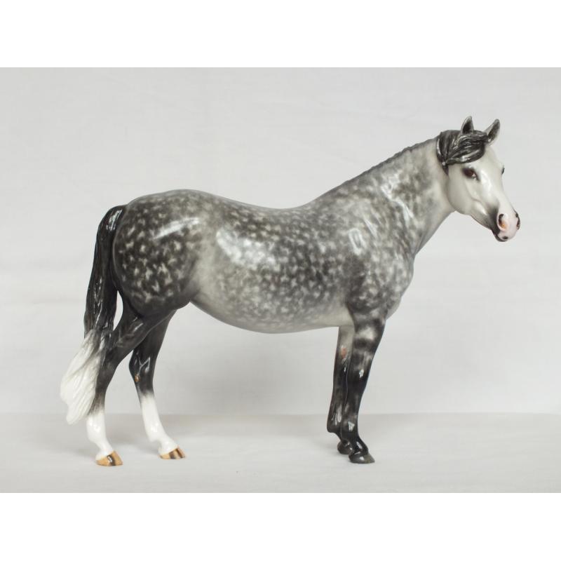 Welsh Pony Mare, Dapple Grey Painting Standard